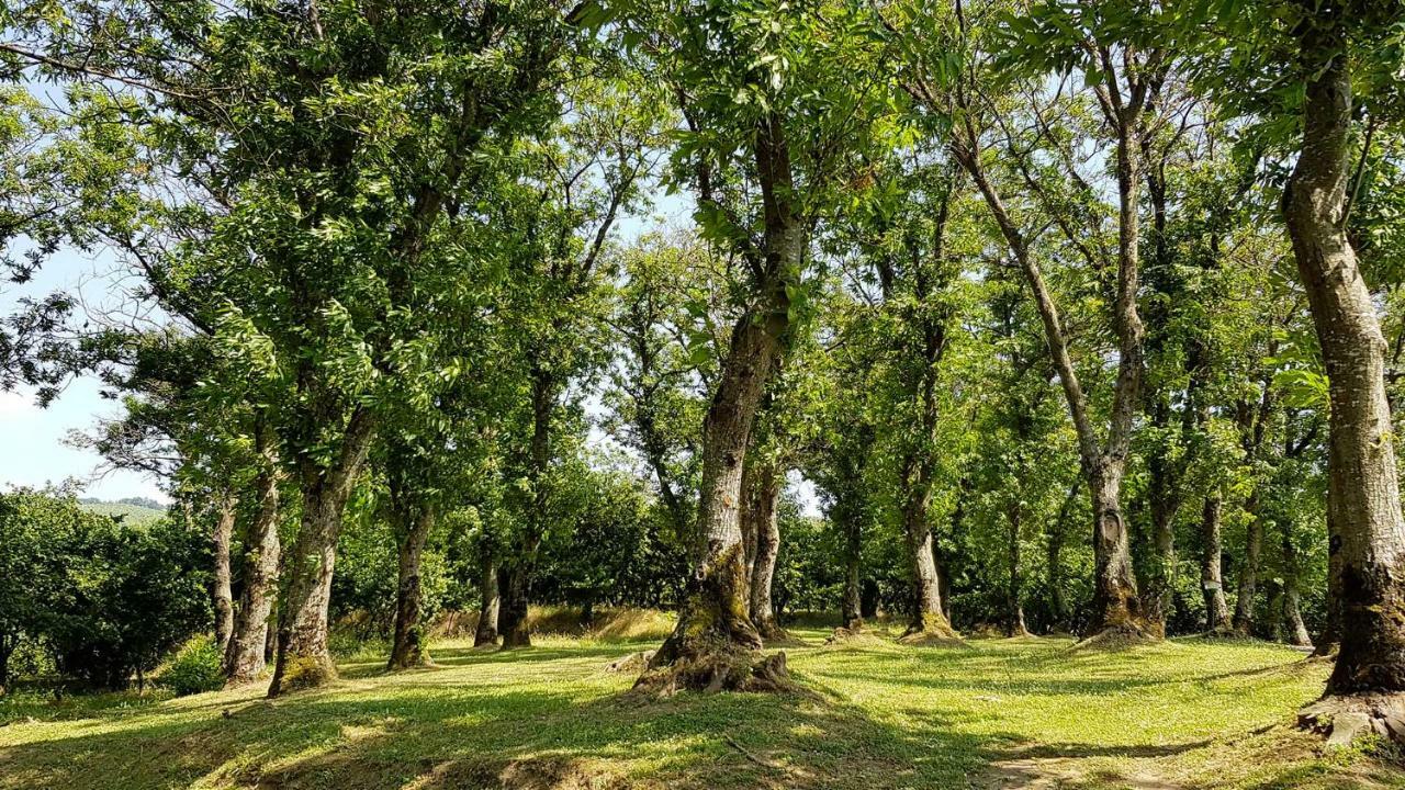 Agriturismo Ricciardelli Βίλα Contrada  Εξωτερικό φωτογραφία
